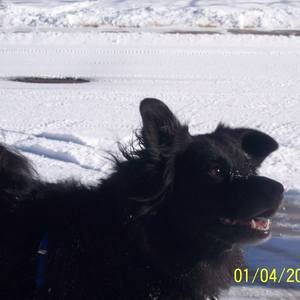 Meet your Posher, Patrice